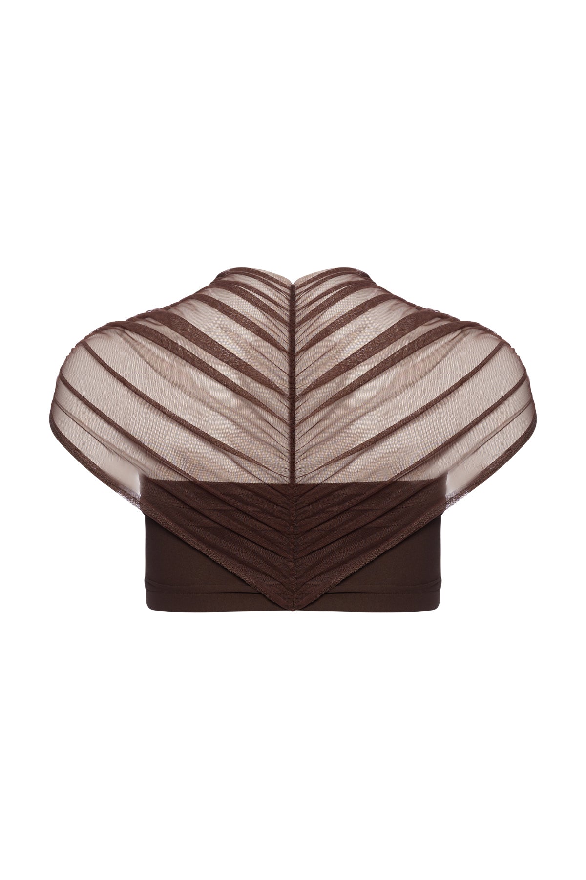 Top Mesh Touch In Brown