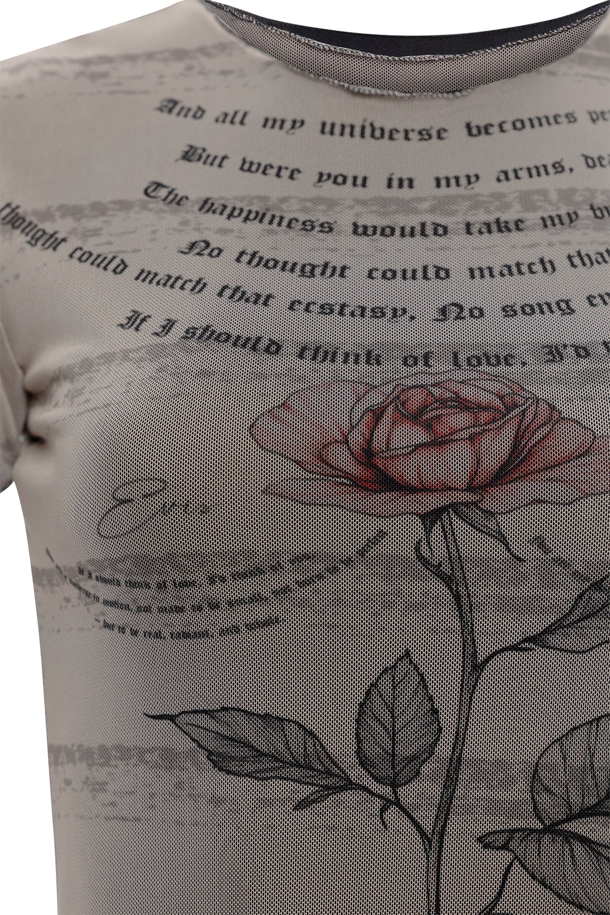 Long Mesh Dress With Roses